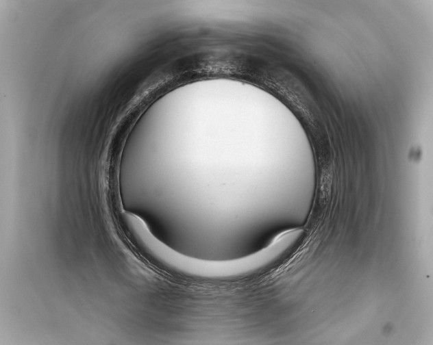 X0000098220722200805221648