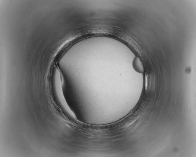 X0000098220723200805221648