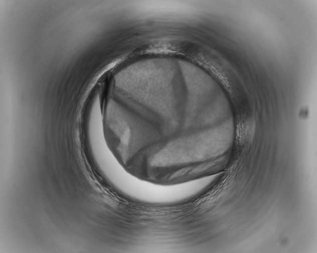 X0000098220724200805221648