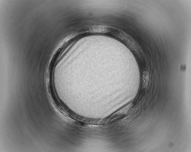 X0000098220726200805221648