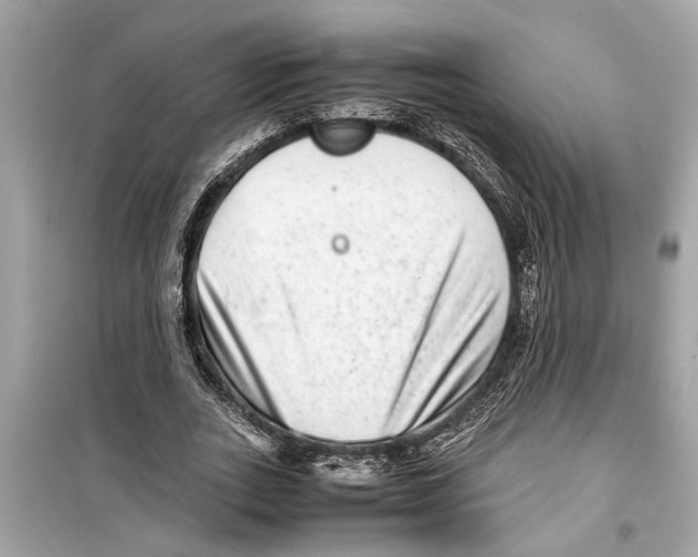 X0000098220727200805221648