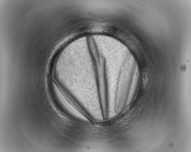 X0000098220728200805221648