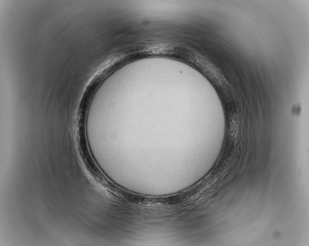 X0000098220730200805221648