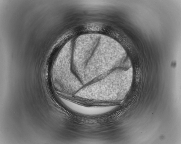 X0000098220731200805221648