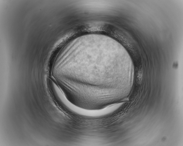 X0000098220732200805221648