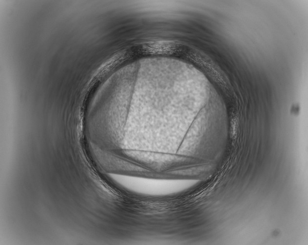 X0000098220733200805221648