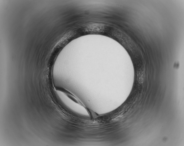 X0000098220735200805221648