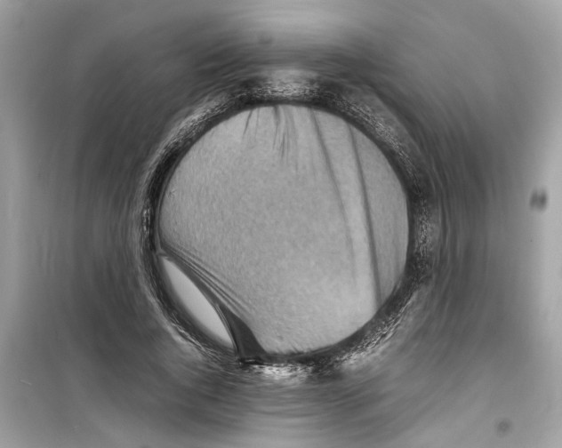 X0000098220736200805221648