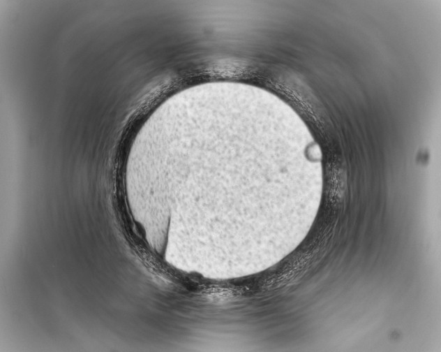 X0000098220738200805221648