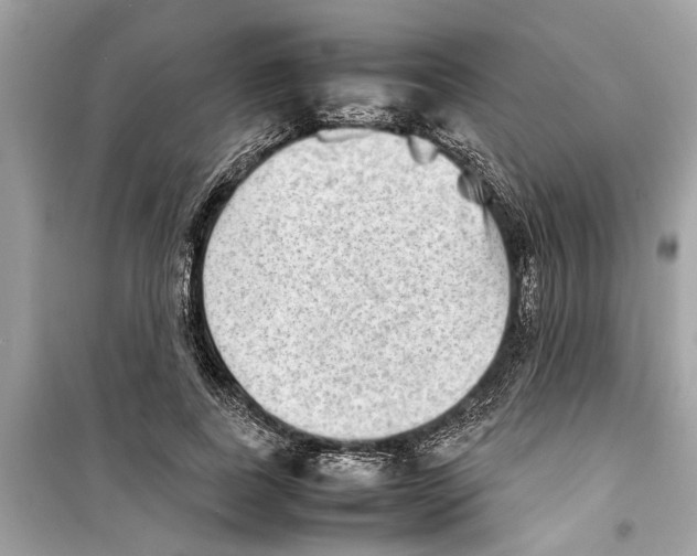 X0000098220739200805221648