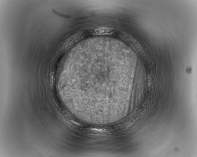 X0000098220741200805221648