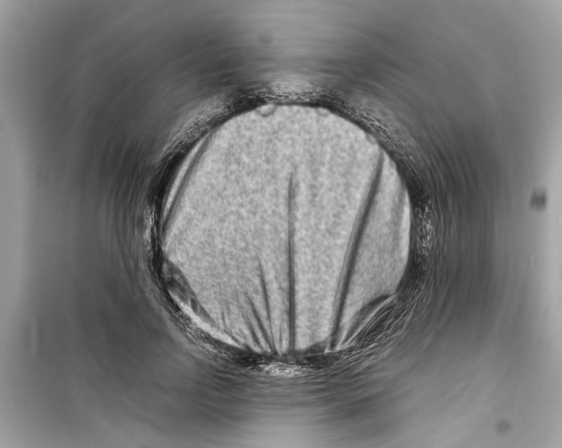X0000098220742200805221648