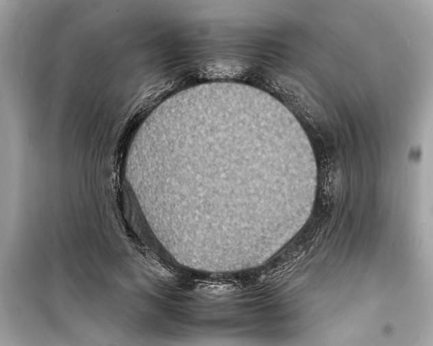 X0000098220743200805221648