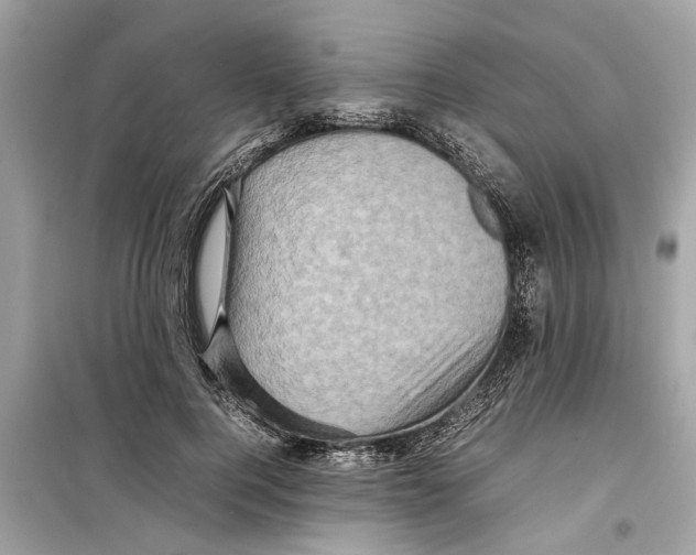 X0000098220744200805221648