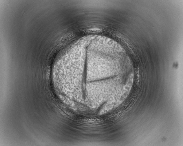 X0000098220745200805221648