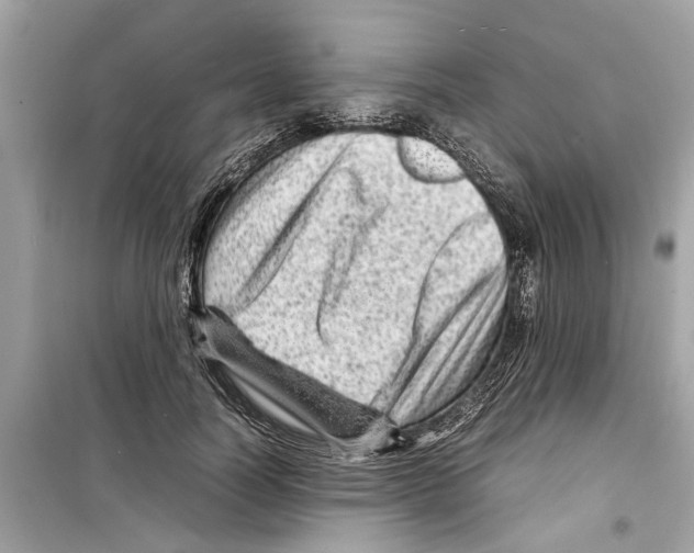 X0000098220746200805221648