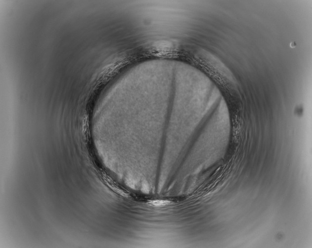 X0000098220748200805221648