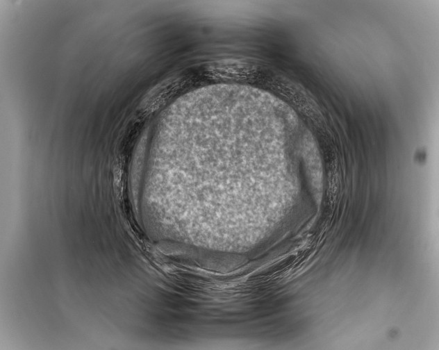 X0000098220749200805221648