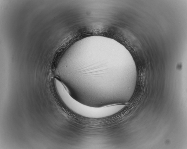 X0000098220750200805221648