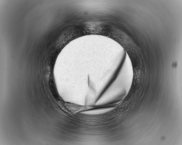 X0000098220752200805221648