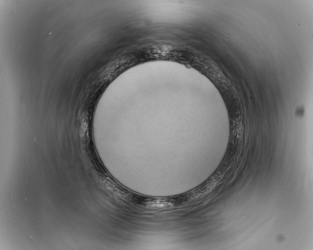 X0000098220754200805221648