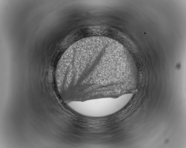 X0000098220757200805221648