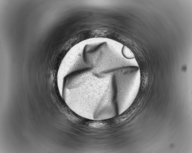 X0000098220759200805221648