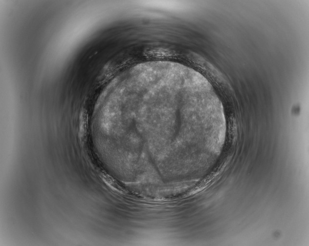 X0000098220760200805221648