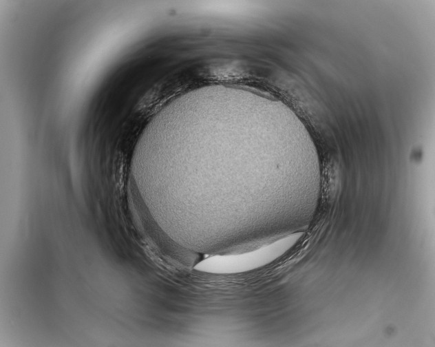 X0000098220762200805221648