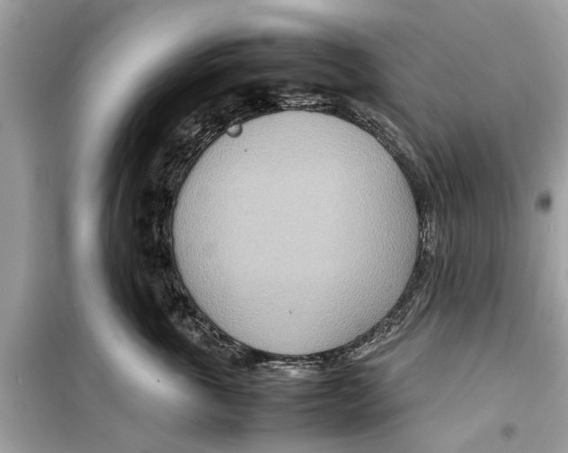 X0000098220763200805221648