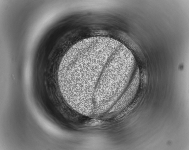 X0000098220764200805221648