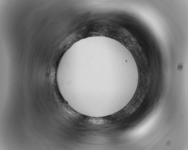 X0000098220767200805221648