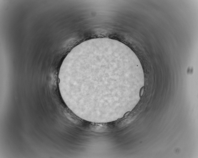 X0000098220768200805221648