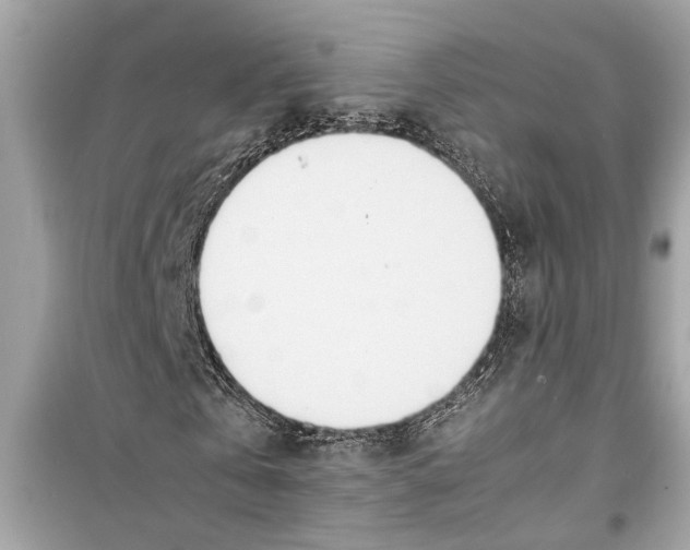 X0000098220769200805221647
