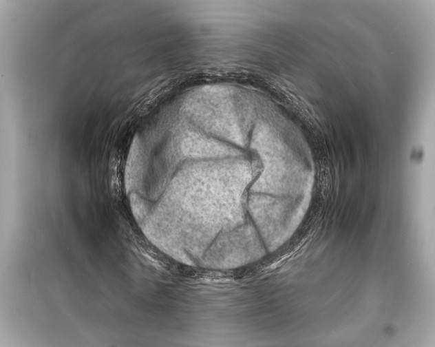 X0000098220770200805221647