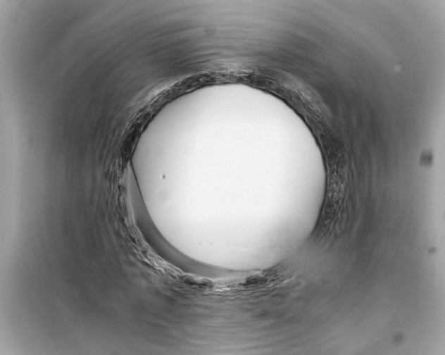 X0000098220773200805221647