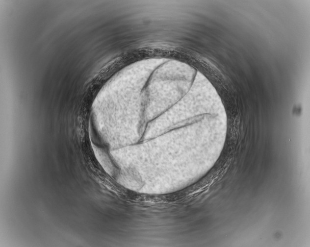 X0000098220774200805221647