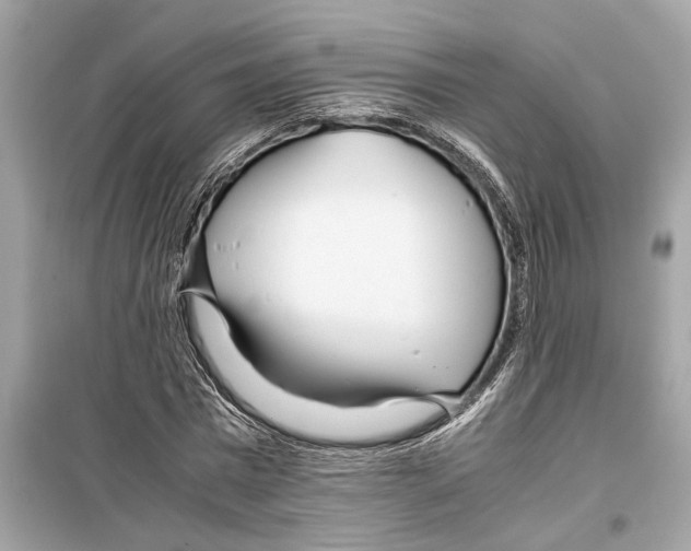 X0000098220777200805221647