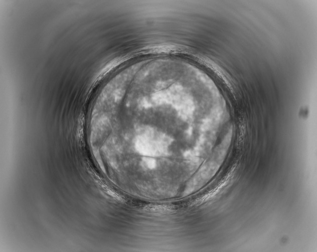 X0000098220778200805221647