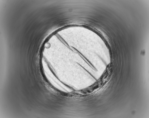 X0000098220779200805221647