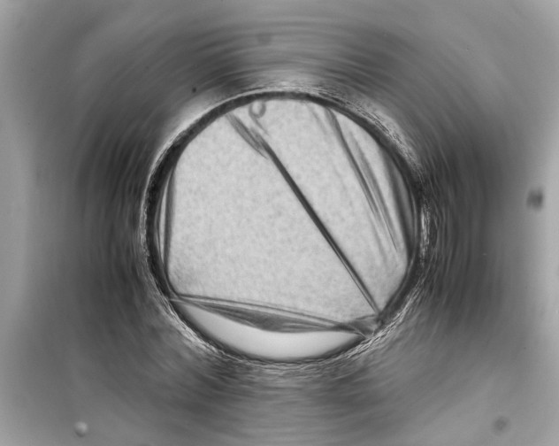 X0000098220780200805221647