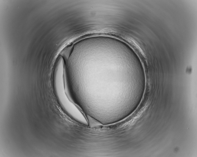 X0000098220781200805221647