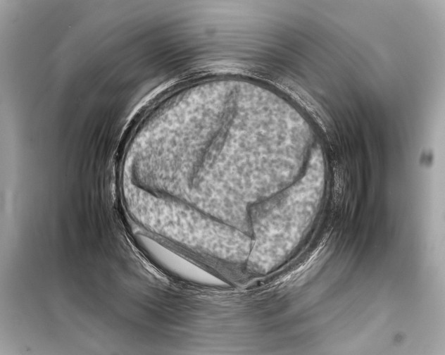 X0000098220782200805221647