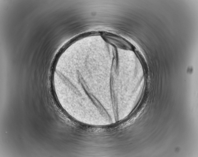 X0000098220783200805221647