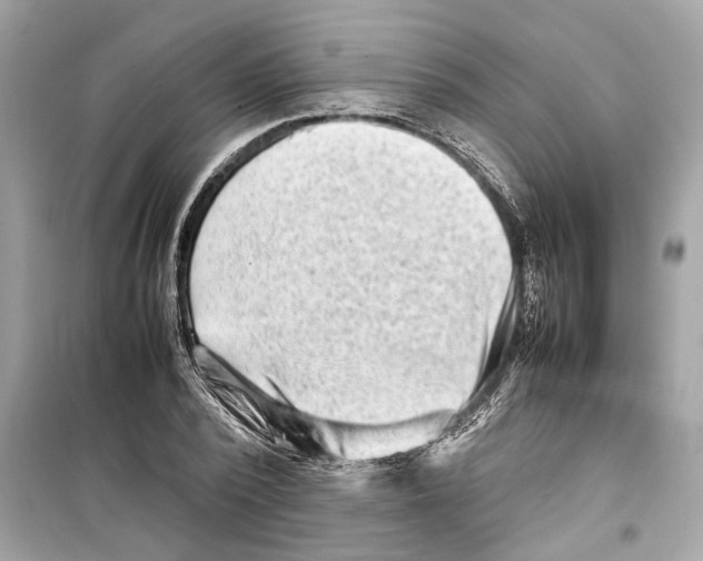 X0000098220784200805221647