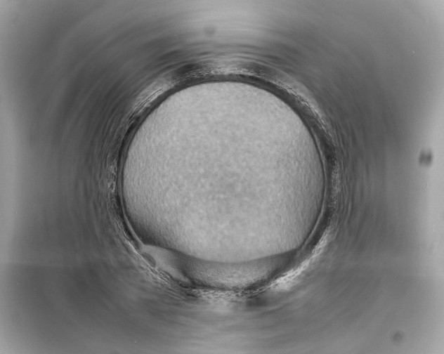 X0000098220785200805221647