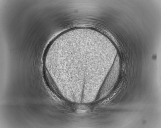 X0000098220787200805221647