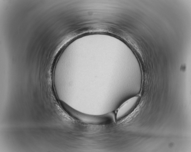 X0000098220789200805221647