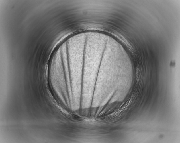 X0000098220790200805221647