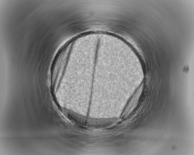 X0000098220791200805221647